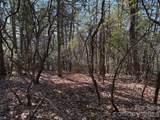 TBD Bobcat Mountain Road - Photo 11