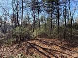 TBD Bobcat Mountain Road - Photo 6