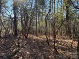 TBD Bobcat Mountain Road - Photo 9
