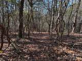 TBD Bobcat Mountain Road - Photo 10