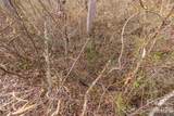 00 Carver Mountain Valley - Photo 18