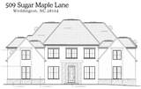 509 Sugar Maple Lane - Photo 1