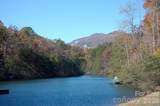 109 Overlook Point Lane - Photo 48
