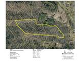 00 Sweet Creek Road - Photo 12