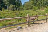 00 Curry Comb Trail - Photo 19