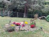 2778 Mule Stomp Road - Photo 11