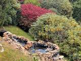 2778 Mule Stomp Road - Photo 12