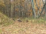 2778 Mule Stomp Road - Photo 15