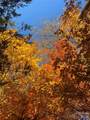 2778 Mule Stomp Road - Photo 37