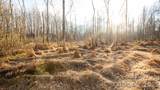 TBD Upright Road - Photo 29