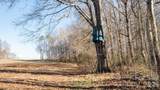 TBD Upright Road - Photo 30