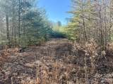 2095 Hitching Post Trail - Photo 2