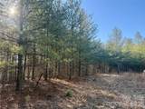 2095 Hitching Post Trail - Photo 3