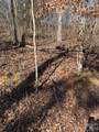 000 Rambling Creek Road - Photo 3