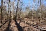 000 Rambling Creek Road - Photo 5