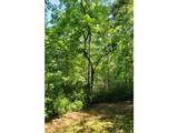 0 Falls View Trail - Photo 15