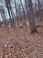 000 Vacant Nc 138 Highway - Photo 4