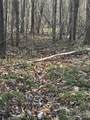 Lot 24 Double Eagle Drive - Photo 21