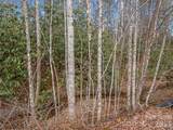 220 Jonathan Creek Drive - Photo 37
