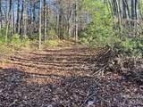 999 Trellum Trail - Photo 14