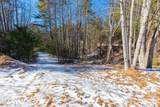 999 Trellum Trail - Photo 9