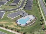 3317 Black Cherry Drive - Photo 7