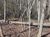 Lot 2 Warren Ridge Road - Photo 5