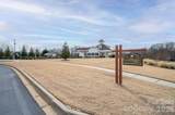 1113 Mayapple Way - Photo 44