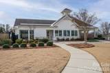 1113 Mayapple Way - Photo 45