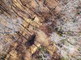 000 Bee Tree Road - Photo 18