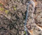 000 Bee Tree Road - Photo 8
