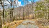 TBD Phillips Gap Road - Photo 1