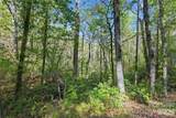0 Wolf Trail - Photo 3