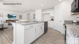 560 Sparkleberry Street - Photo 4