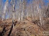 00 Listening Cove - Photo 8