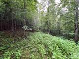TBD Staghorn Road - Photo 19