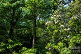TBD Fox Den Road - Photo 2