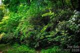 TBD Fox Den Road - Photo 4