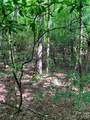 6 Double Creek Road - Photo 1