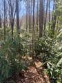 Lot 20A Indian Lake Road - Photo 3
