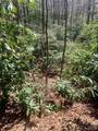 Lot 20A Indian Lake Road - Photo 7