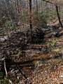 0 Painters Gap Road - Photo 14