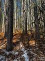 0 Painters Gap Road - Photo 18