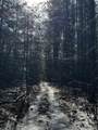 0 Painters Gap Road - Photo 9