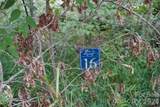 0000 High Peak Drive - Photo 7