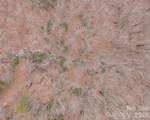 2724 Mountain Crest Drive - Photo 15