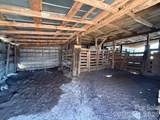 2041 Clyde Street - Photo 29