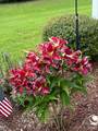 4444 Bravery Place - Photo 43