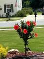 4444 Bravery Place - Photo 44