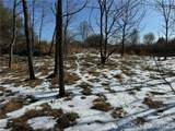 TBD Macedonia Church Road - Photo 26